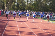 Enlarge photo 475