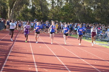 Enlarge photo 476