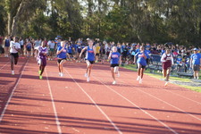 Enlarge photo 477