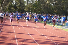 Enlarge photo 478