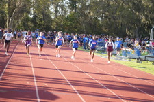 Enlarge photo 480