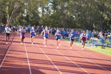 Enlarge photo 481