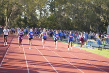 Enlarge photo 482