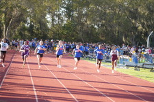 Enlarge photo 484