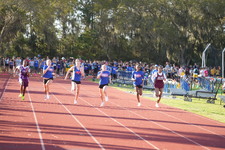 Enlarge photo 487