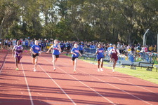 Enlarge photo 486