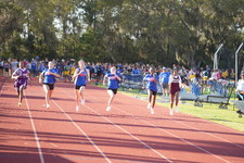 Enlarge photo 489