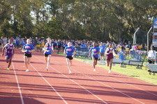 Enlarge photo 490