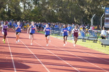 Enlarge photo 491
