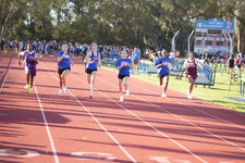 Enlarge photo 493