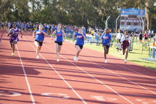 Enlarge photo 496