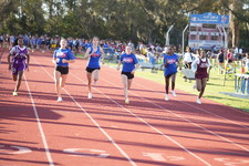Enlarge photo 497