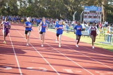 Enlarge photo 499