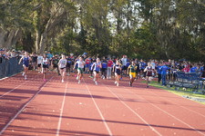 Enlarge photo 509