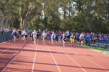 Enlarge photo 510