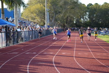 Enlarge photo 523