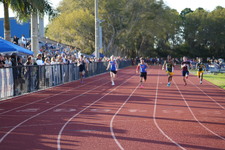 Enlarge photo 524
