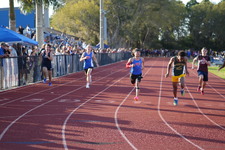 Enlarge photo 534