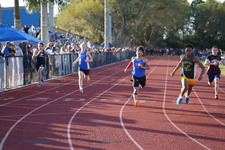 Enlarge photo 537