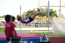 Enlarge photo 629