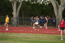Enlarge photo 729
