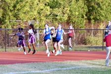 Enlarge photo 782