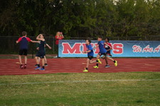 Enlarge photo 1031