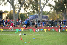 Enlarge photo 1061