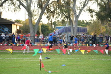 Enlarge photo 1062