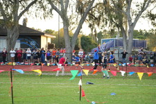 Enlarge photo 1066