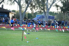 Enlarge photo 1160