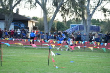 Enlarge photo 1161