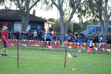 Enlarge photo 1165