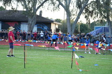 Enlarge photo 1164