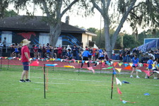 Enlarge photo 1166