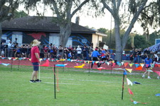Enlarge photo 1167