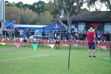 Enlarge photo 1176