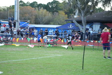 Enlarge photo 1177