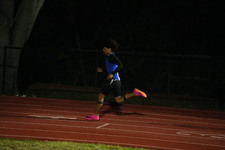 Enlarge photo 1233
