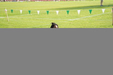 Enlarge photo 94