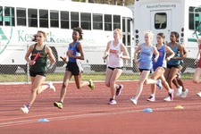 Enlarge photo 146