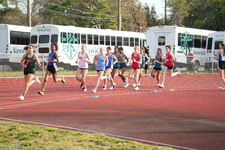 Enlarge photo 151