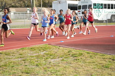 Enlarge photo 160