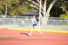 Enlarge photo 232