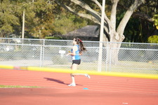 Enlarge photo 233