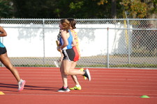 Enlarge photo 239