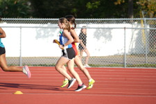 Enlarge photo 240