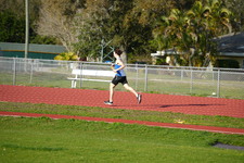 Enlarge photo 263