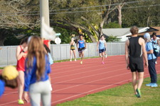 Enlarge photo 272