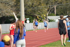 Enlarge photo 274